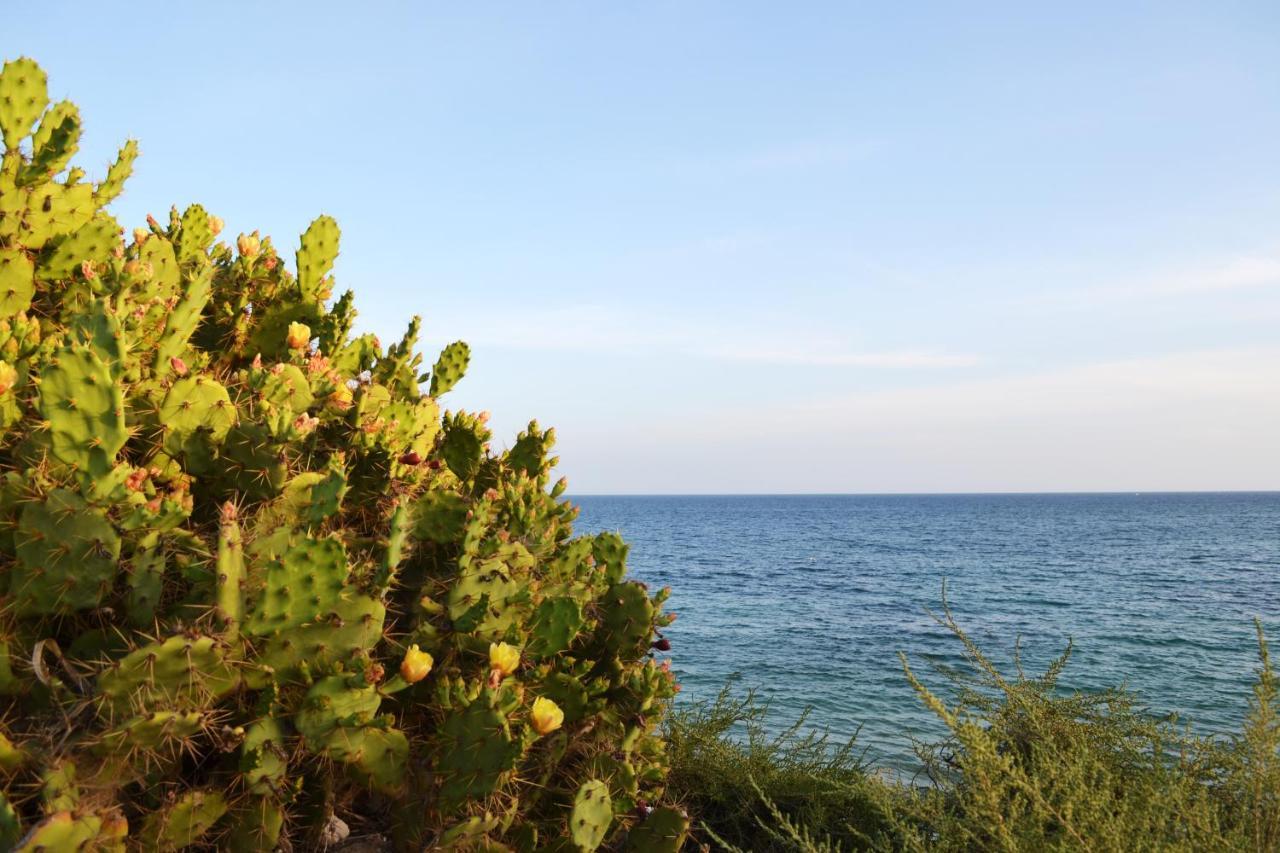 Sea Top Flat S By Algest Daire Portimão Dış mekan fotoğraf